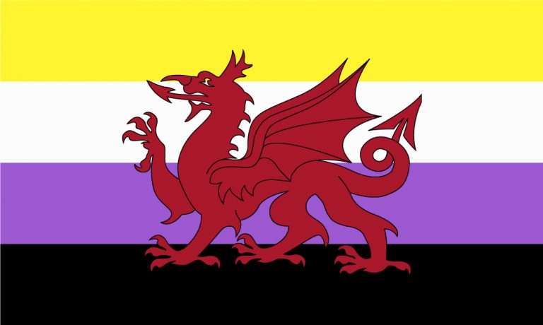 Non Binary Pride Wales Outdoor Quality Flag MrFlag