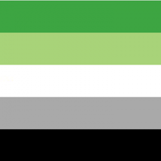 Aromantic Flag (Medium) - MrFlag