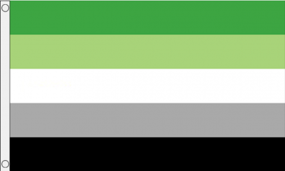 Aromantic Flag (Medium) - MrFlag