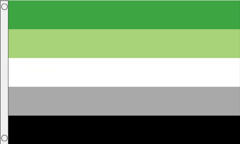 Aromantic Flag (Medium) - MrFlag