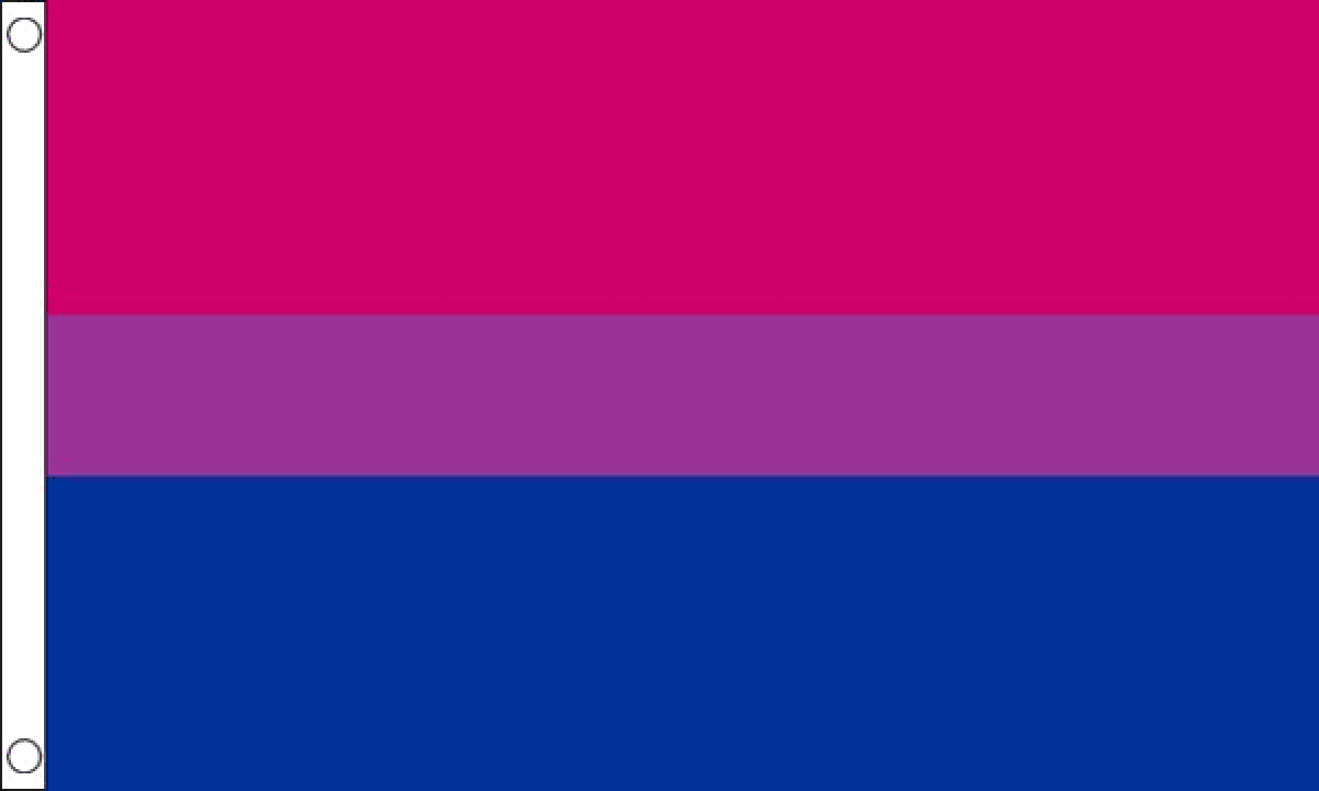Bi-Pride Flag (Medium) - MrFlag