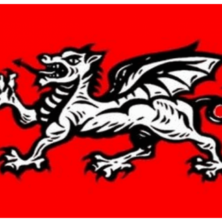 English Wessex Dragon Flag (B) Flag (Medium) | MrFlag