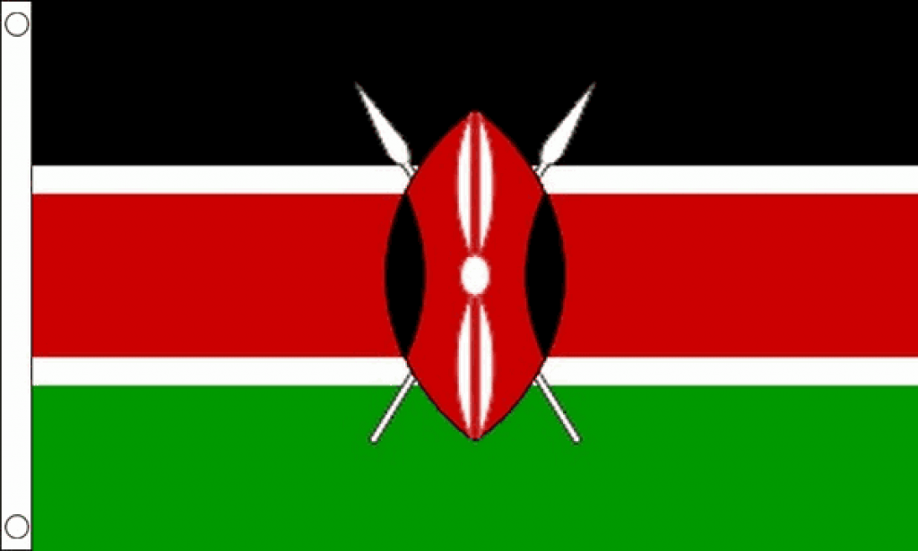 Kenya Flag (Small) MrFlag