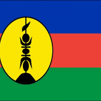 New Caledonia Flag (Medium) | MrFlag