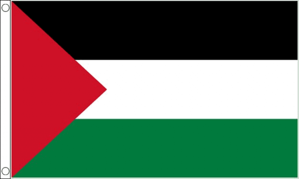 Palestine Flag (Large) - MrFlag