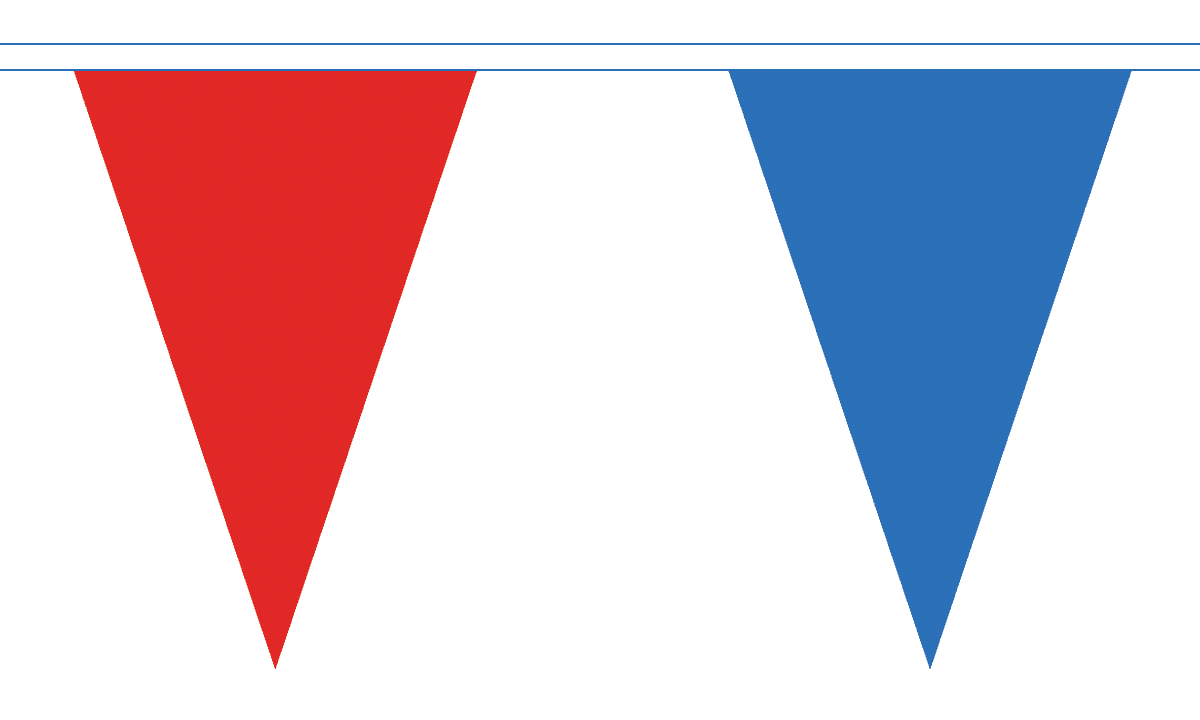 small triangle flags