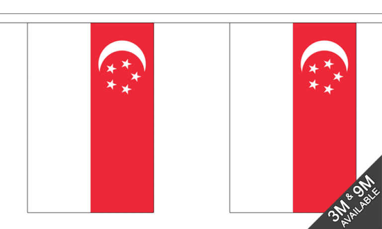 Singapore Bunting (Small) - MrFlag