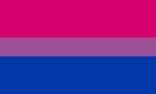 Bisexual Pride Outdoor Quality Flag Mrflag