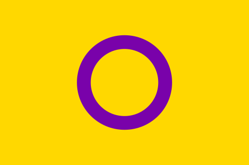 Intersex Pride Professional Quality Flag – Mrflag