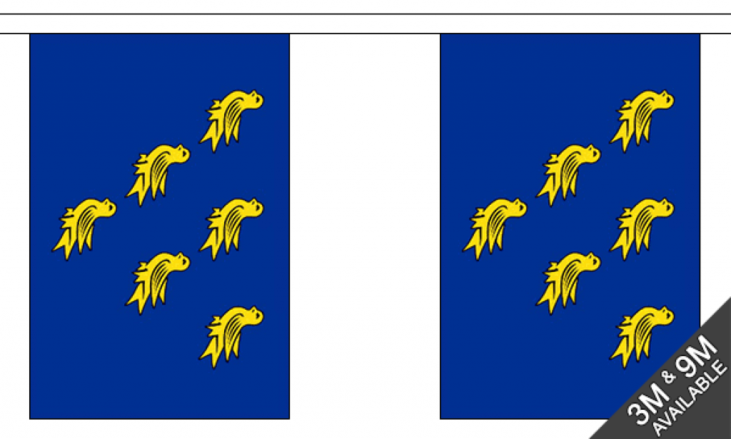 Hastings Sussex Flags | Sussex County Flags Online | MrFlag