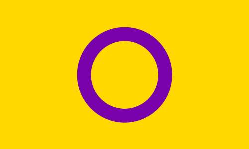 Intersex Pride Outdoor Quality Flag Mrflag