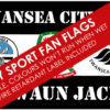 fire retardant fan flags from mrflag