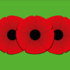 mrflag remembrance day green flag