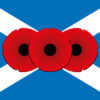 mrflag remembrance day scotland flag